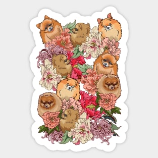 Because Pomeranians Sticker